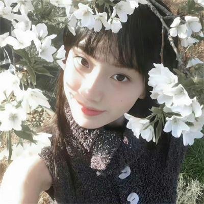 灵性的动物 在线观看
